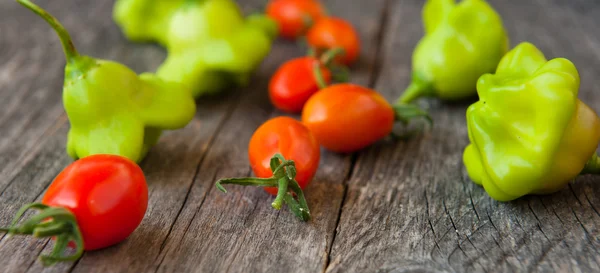 Pomidory i papryki — Zdjęcie stockowe