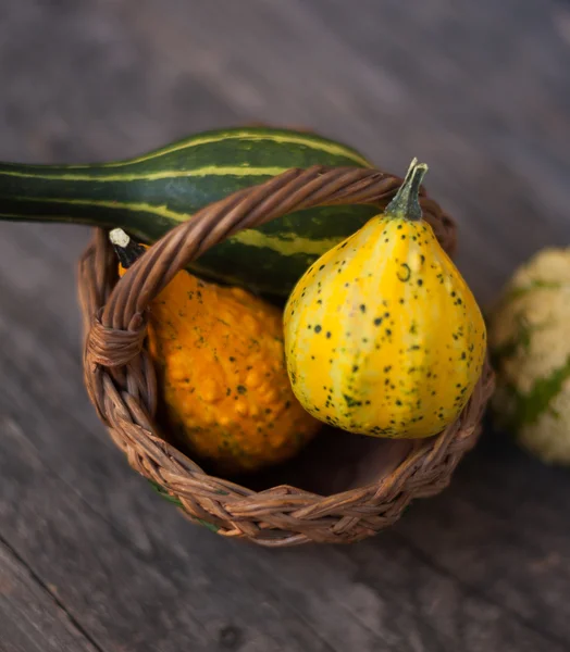 Halloween — Stock Photo, Image