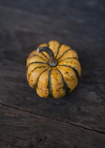 Halloween. — Fotografia de Stock