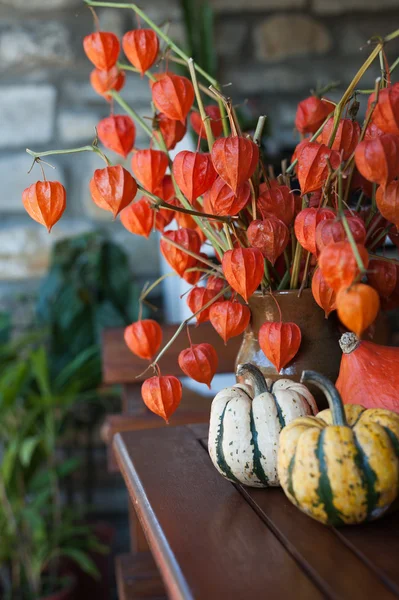 Halloween — Stock fotografie