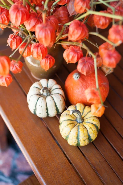 Halloween. — Fotografia de Stock