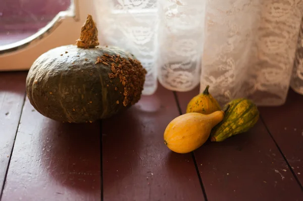 Halloween. — Fotografia de Stock