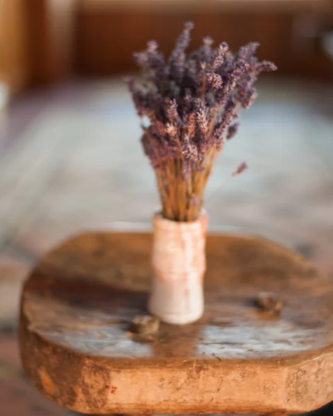 Lavanda — Fotografia de Stock