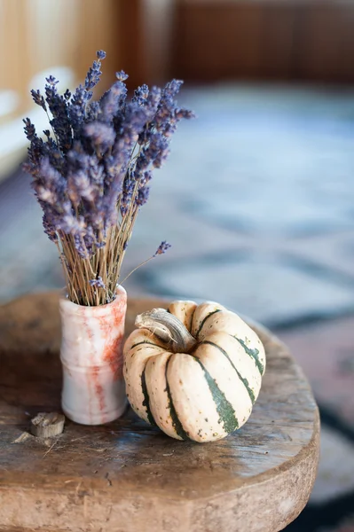 Halloween. — Fotografia de Stock