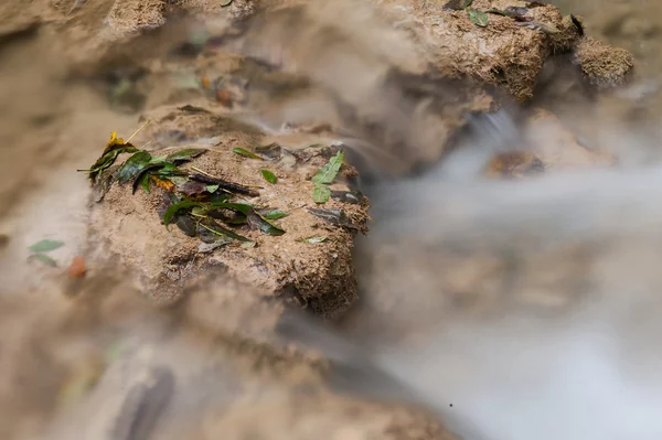 Beusnita river — Stock Photo, Image