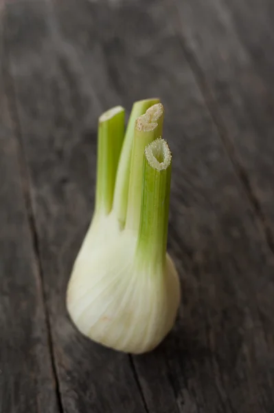 Bombilla de hinojo — Foto de Stock