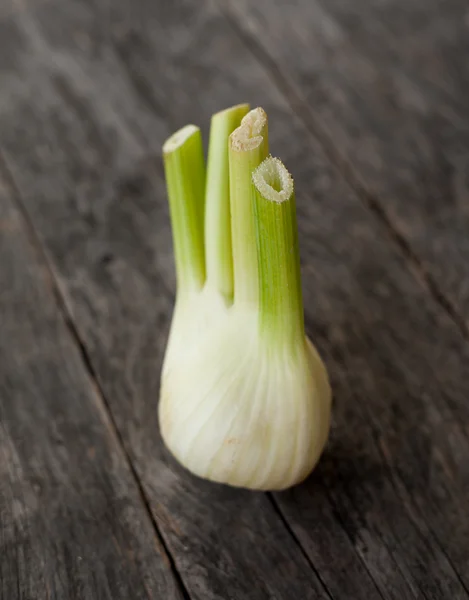 Bombilla de hinojo — Foto de Stock