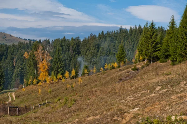 Bucovina landskap — Stockfoto