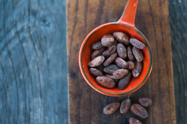 Cocoa beans — Stock Photo, Image