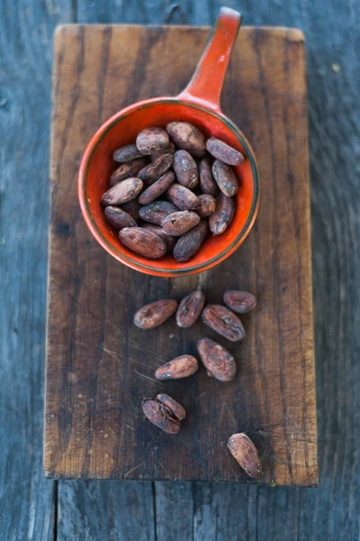 Granos de cacao — Foto de Stock