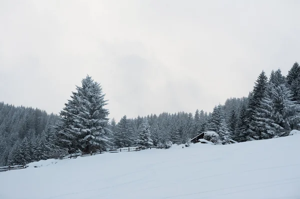 Paisajes de invierno — Foto de Stock