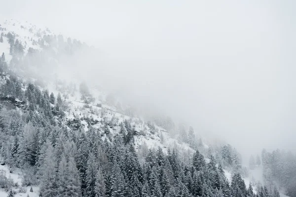 Talvimaisemat — kuvapankkivalokuva