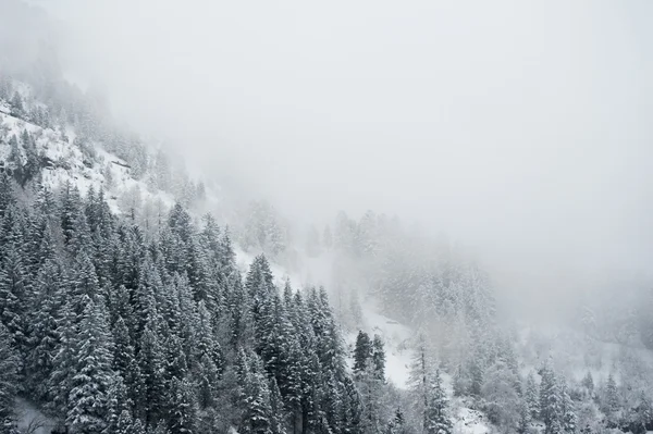 Paysages d'hiver — Photo