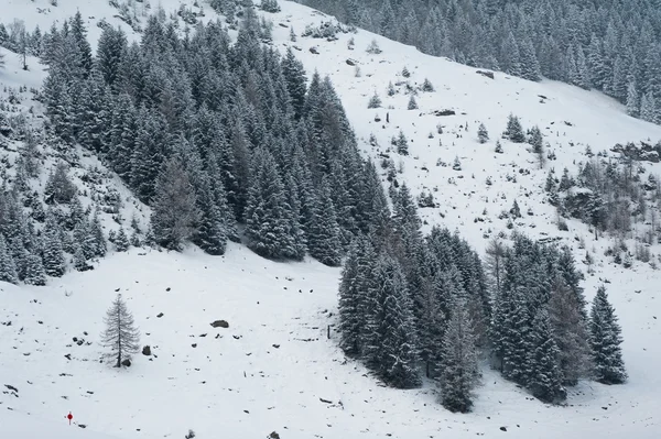 Paisajes de invierno — Foto de Stock