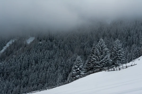 Paisajes de invierno — Foto de Stock