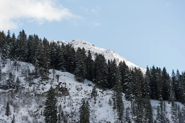 Paisajes de invierno — Foto de Stock