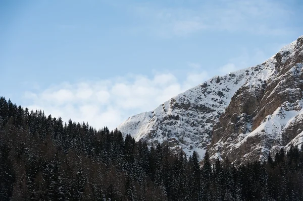 Paisajes de invierno — Foto de Stock