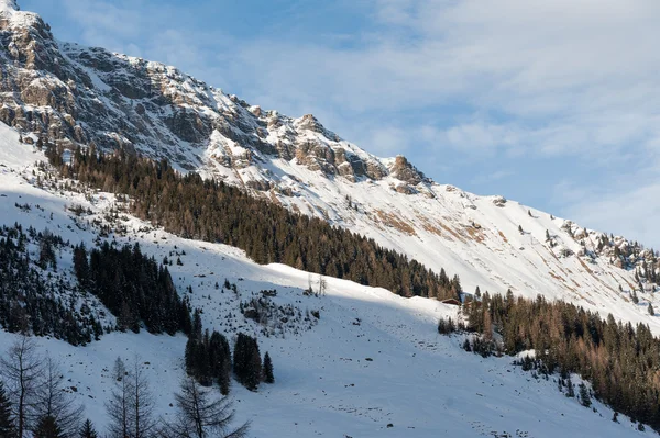 Paesaggio invernale — Foto Stock