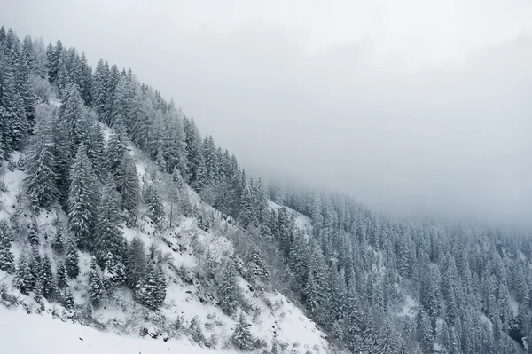 Paisajes de invierno — Foto de Stock