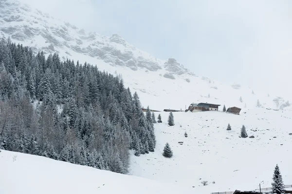 Paesaggio invernale — Foto Stock