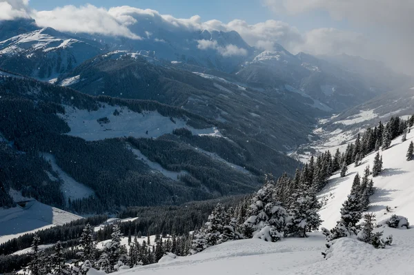 Zillertal Arena — Stok fotoğraf