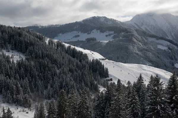 Zillertal Arena — Stock Photo, Image