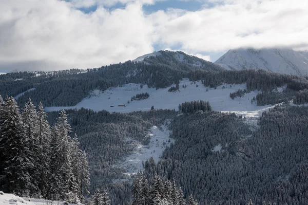 Zillertal Arena — Stockfoto