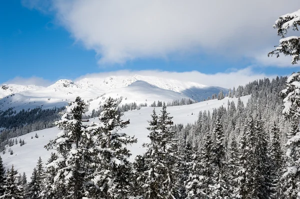 Zillertal Arena — Foto de Stock