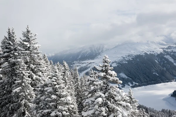 Zillertal Arena — Stock Photo, Image