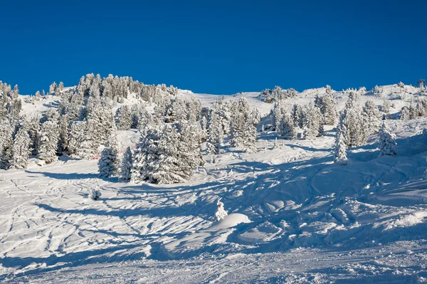 Zillertal-areena — kuvapankkivalokuva