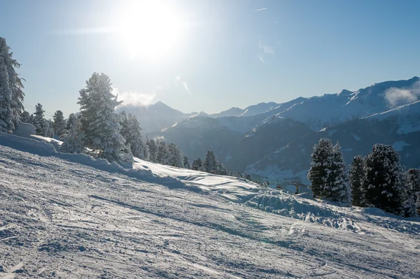 สนามกีฬา Zillertal — ภาพถ่ายสต็อก