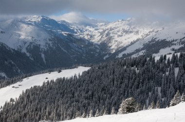 Zillertal Arena
