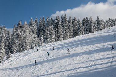 Zillertal Avusturya Alpleri'nde
