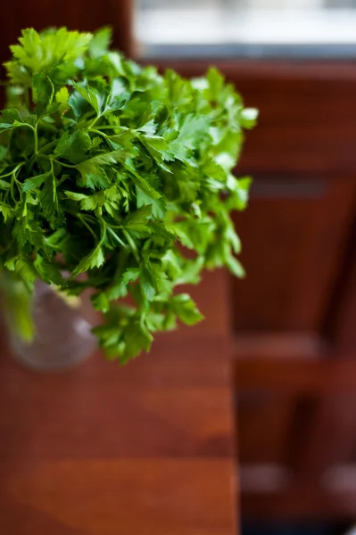 Parsley — Stock Photo, Image