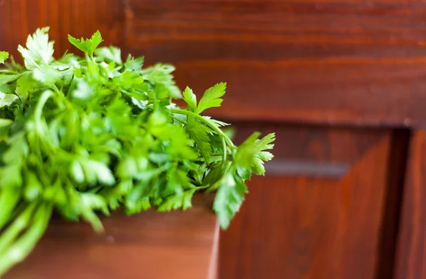 Parsley — Stock Photo, Image