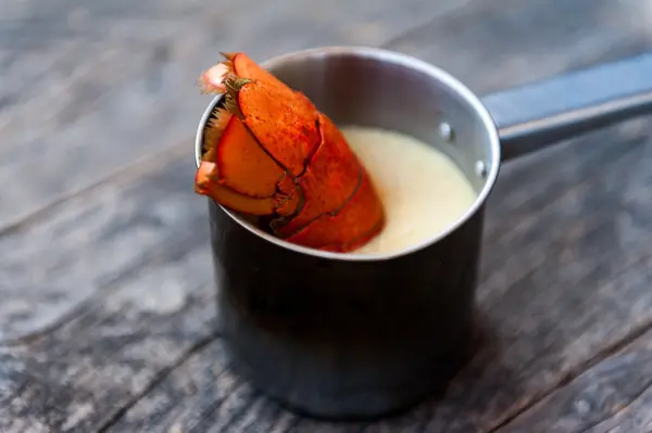 Lobster soup — Stock Photo, Image