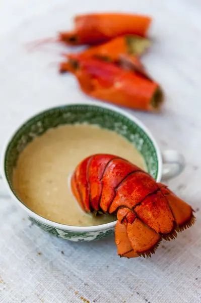 Lobster soup — Stock Photo, Image