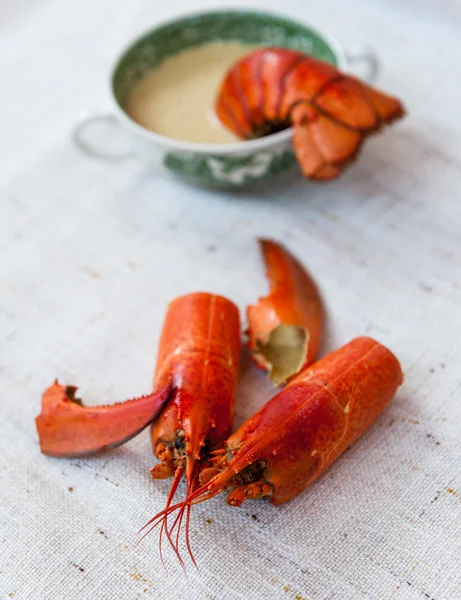 Lobster soup — Stock Photo, Image