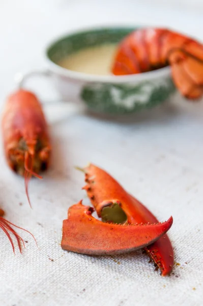 Lobster soup — Stock Photo, Image