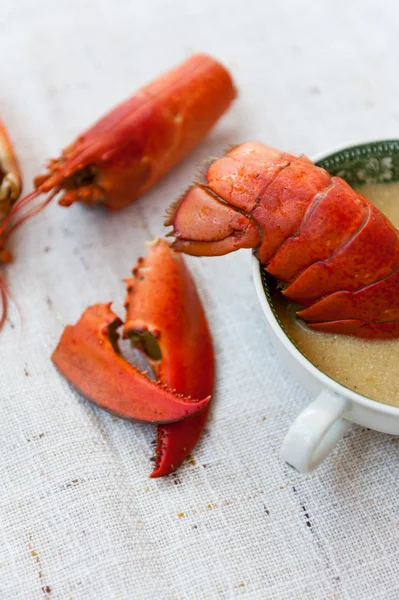 Lobster soup — Stock Photo, Image