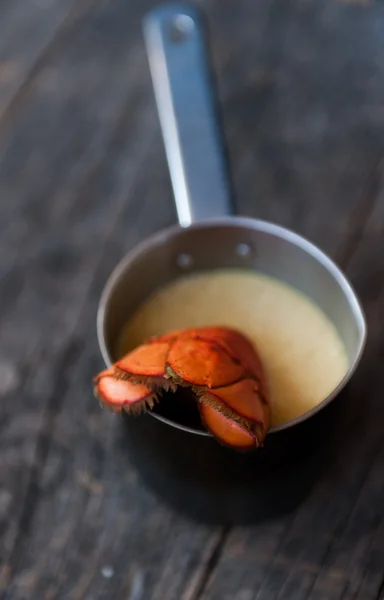 Zupa z homara — Zdjęcie stockowe