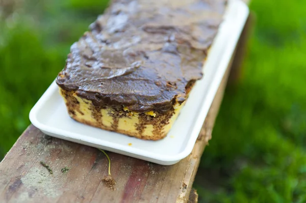 Coconut flower cake with chocolate on top — Stock Photo, Image