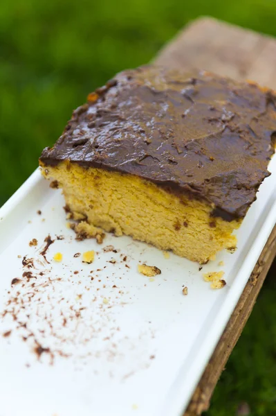 Gâteau aux fleurs de noix de coco avec chocolat sur le dessus — Photo