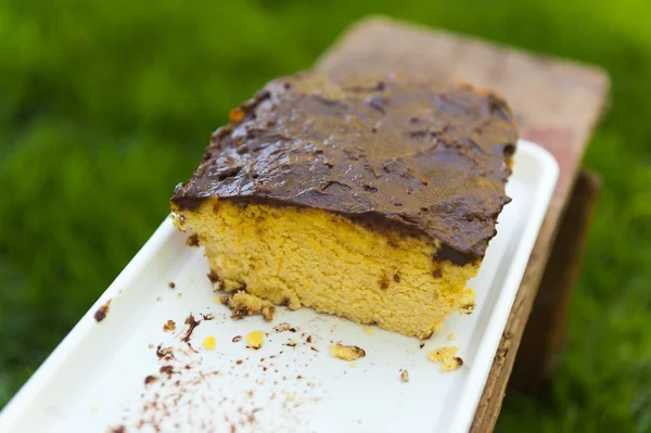 Coconut flower cake with chocolate on top — Stock Photo, Image