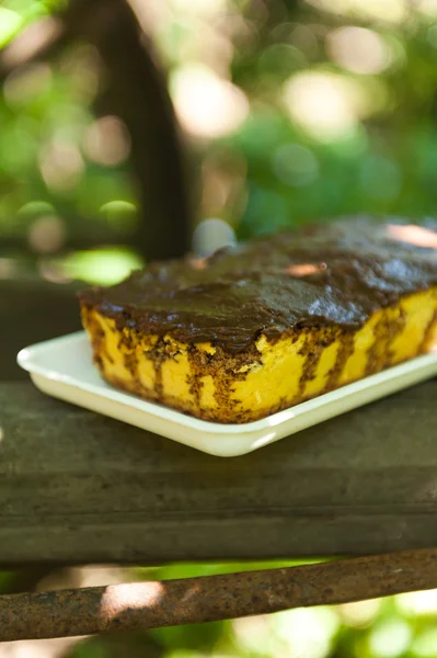 Kokos blomma kaka med choklad på toppen — Stockfoto