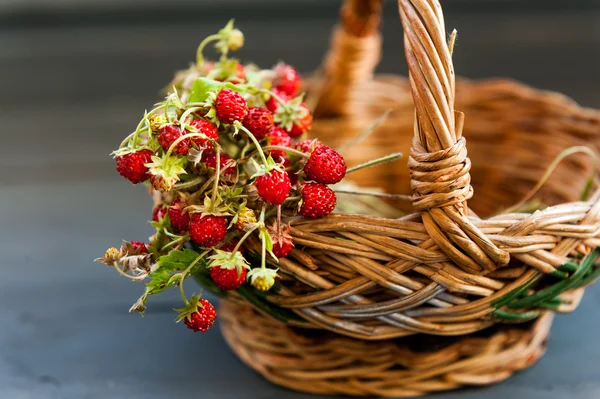 Fresas silvestres en una canasta — Foto de Stock
