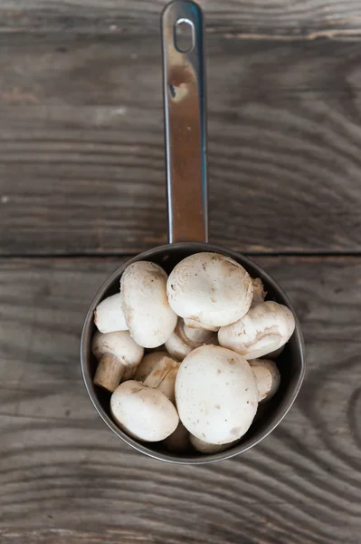 Mushrooms — Stock Photo, Image