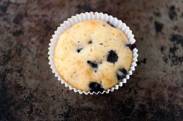 Bosbessenmuffins — Stockfoto