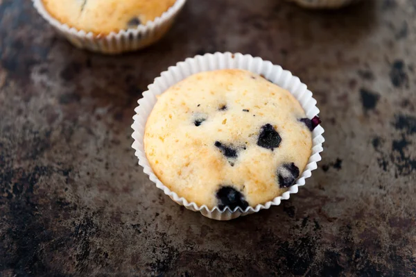 Muffins de mirtilo — Fotografia de Stock