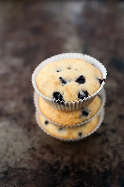 Blåbärsmuffins — Stockfoto